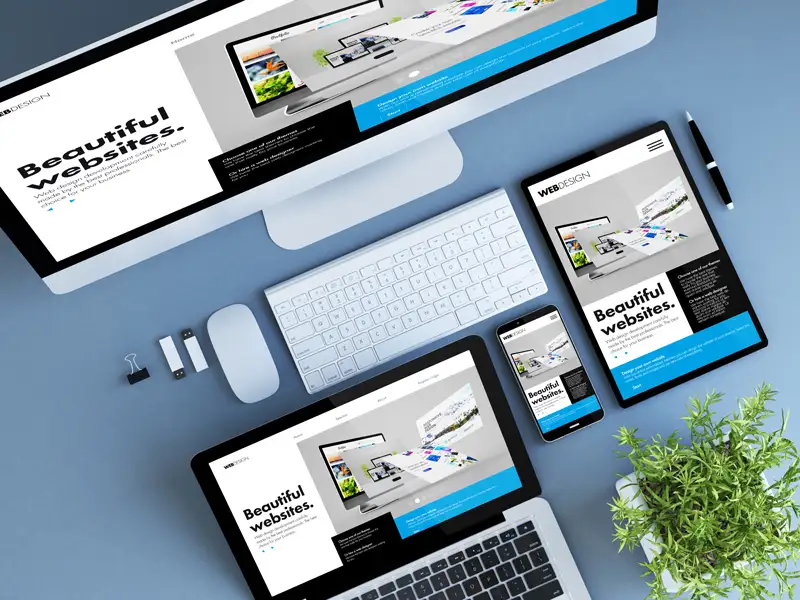 Looking For Website Design Company For the best Service 