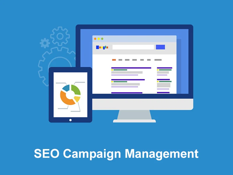 seo-campign-management