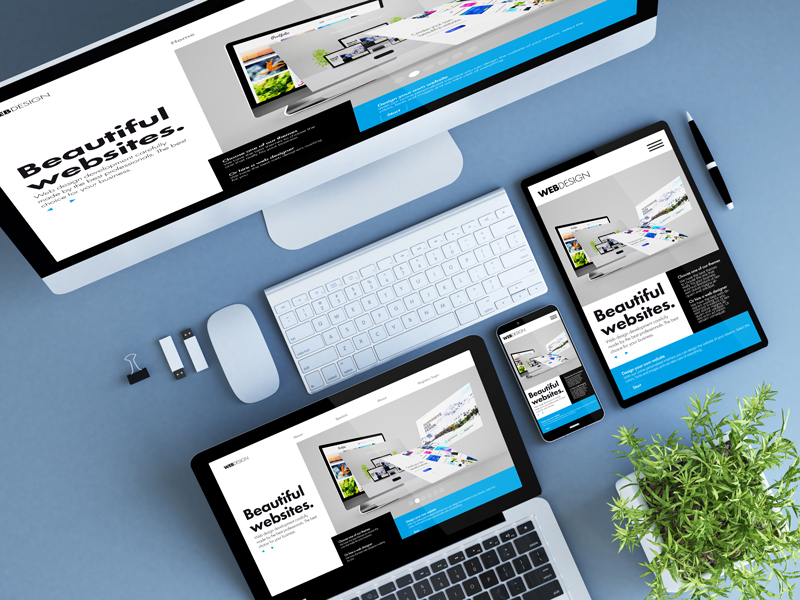 What You Should Look For In Web-Design Services?