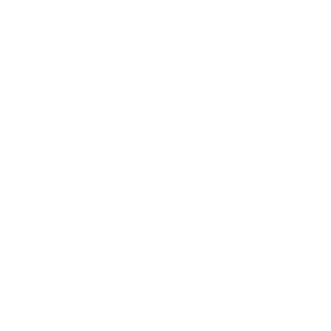 fueldigi
